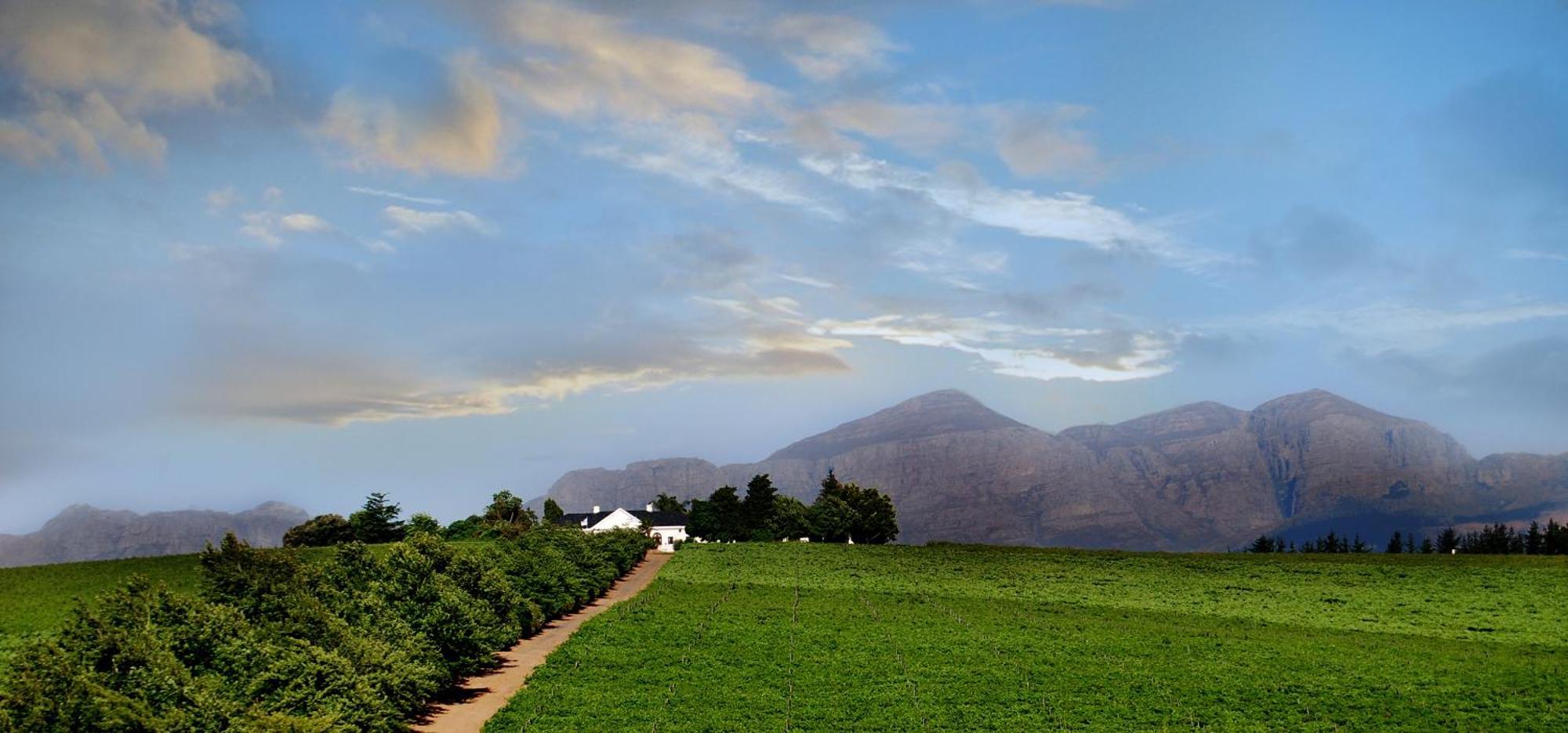 Bakenhof Winelands Lodge Paarl Extérieur photo
