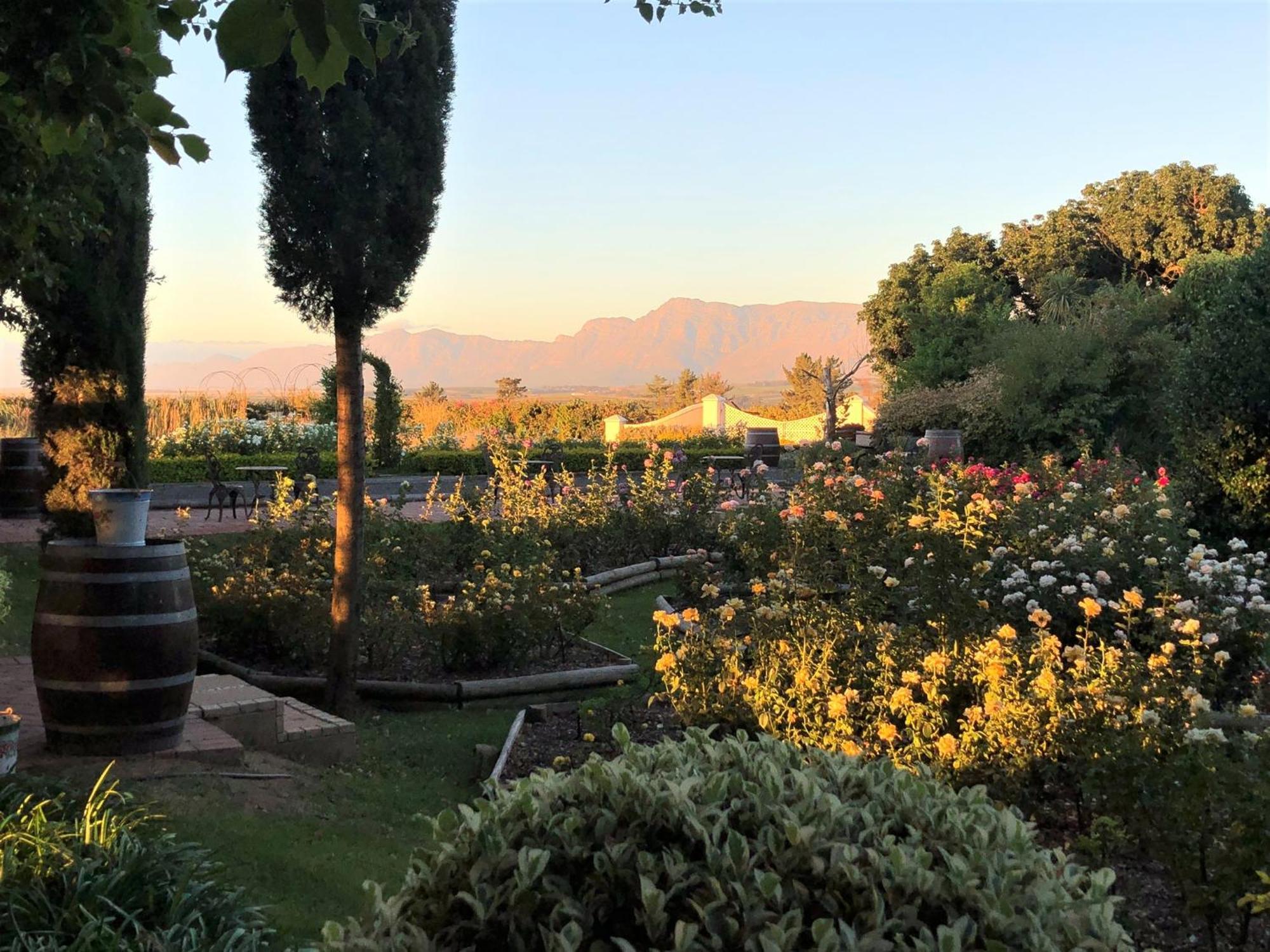 Bakenhof Winelands Lodge Paarl Extérieur photo